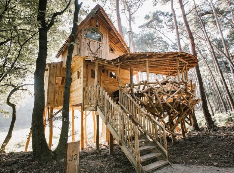 Boomhut met overdekt terras en privé sauna