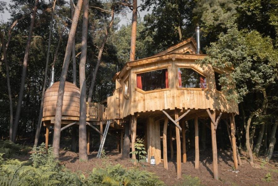 Boomhut met overdekt terras en privé sauna