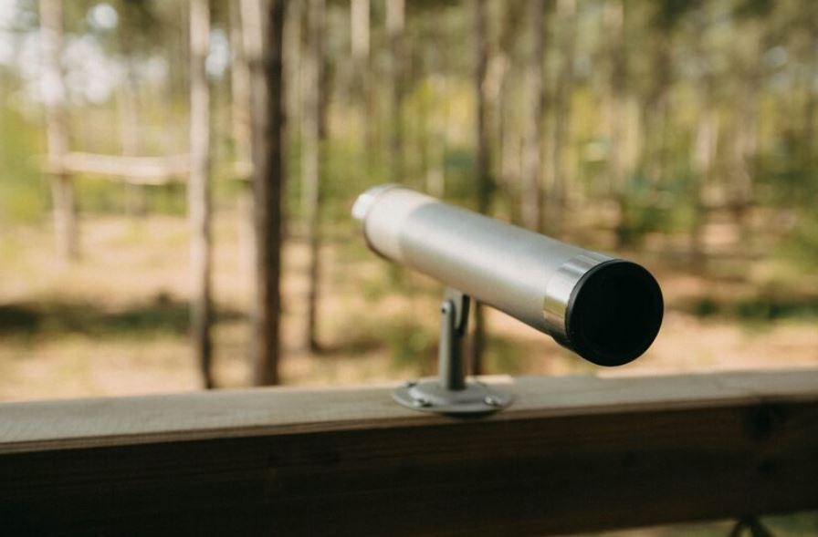 Cabin op 3 meter boven de grond met een fantastisch uitzicht op het bos