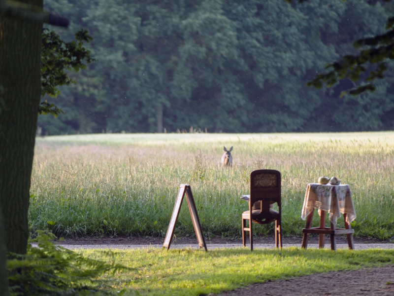 Slapen in een unieke Sheperdshut