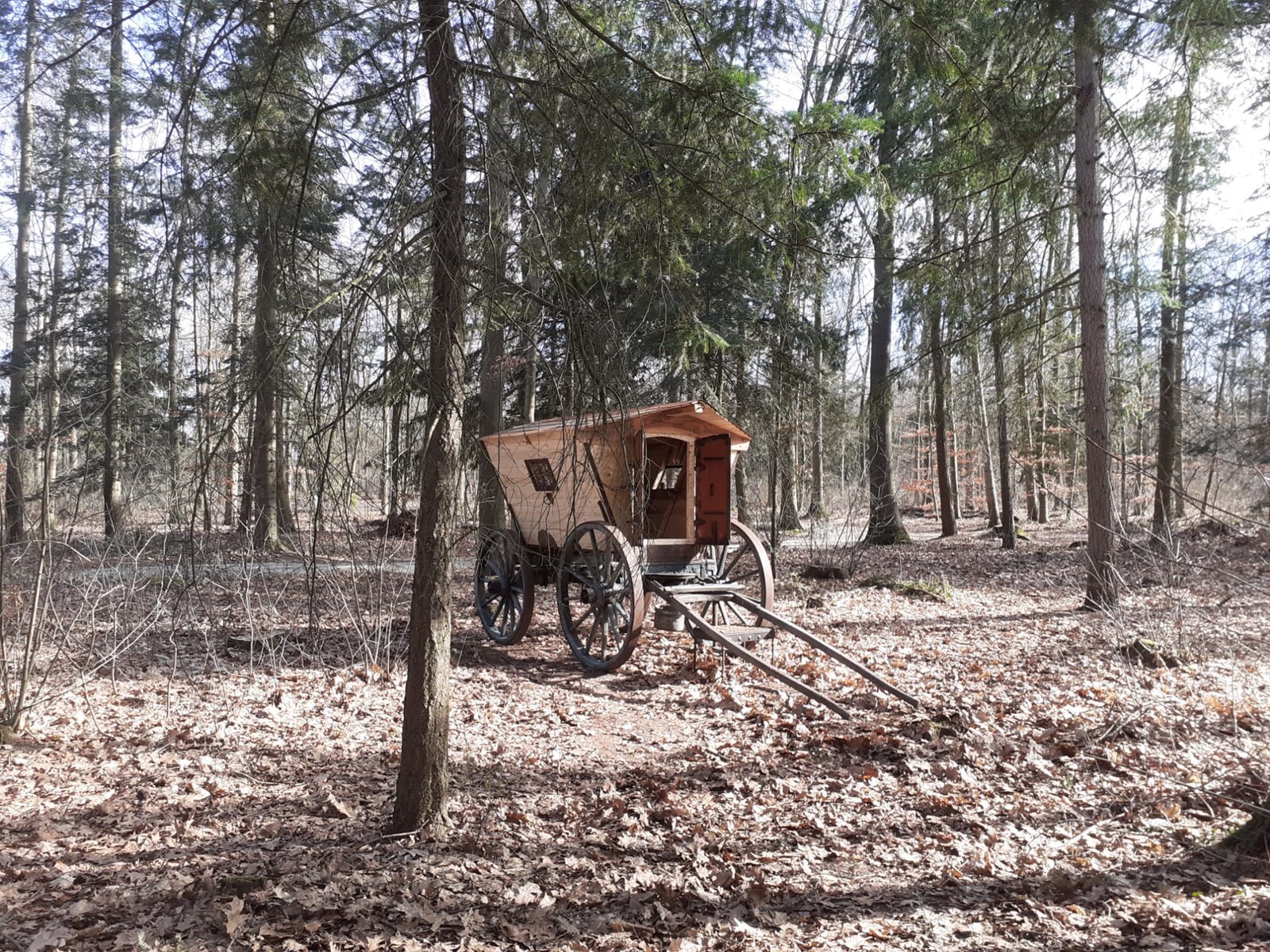 Romantisch Slaapwagentje in het bos