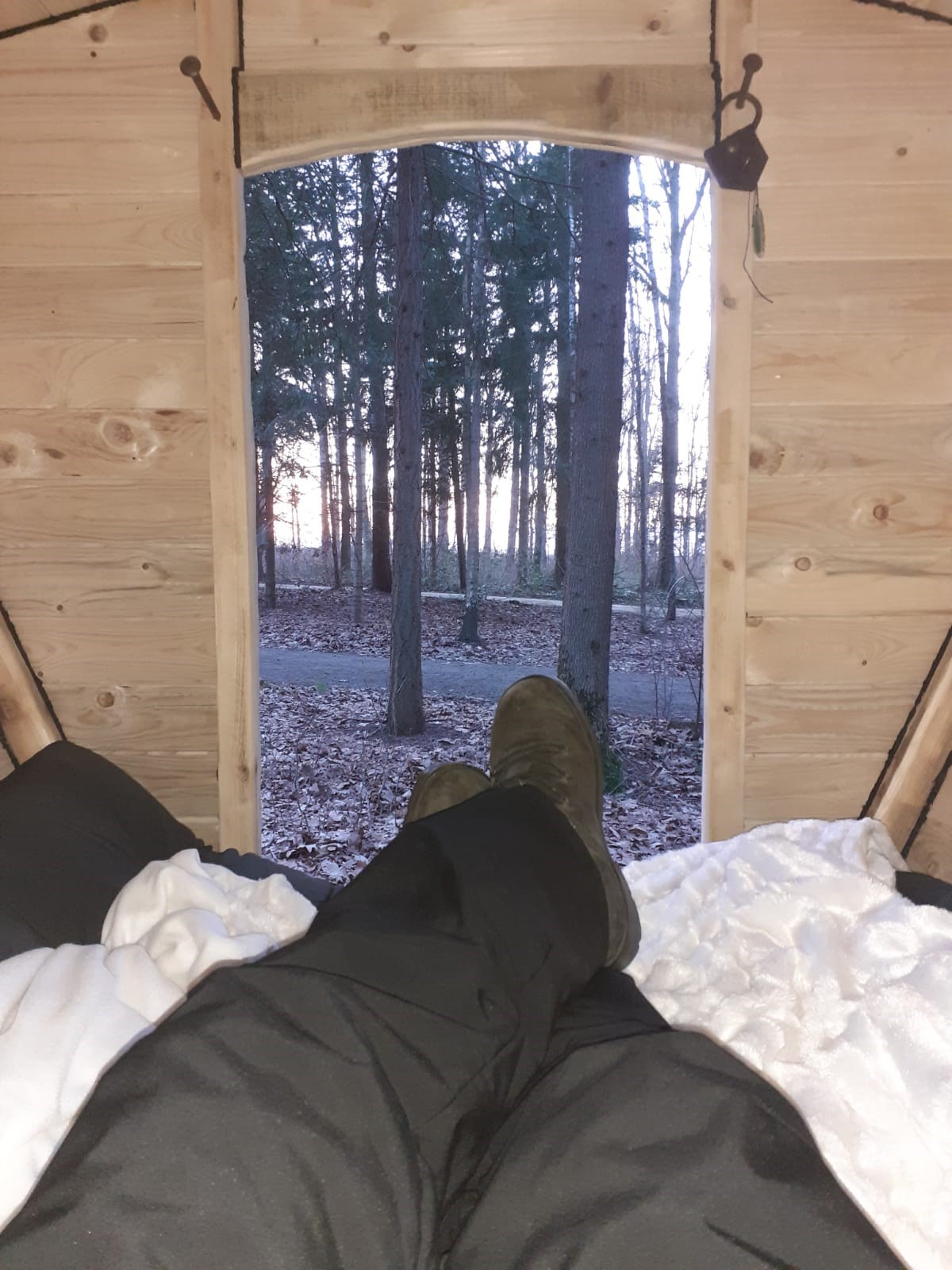 Romantisch Slaapwagentje in het bos