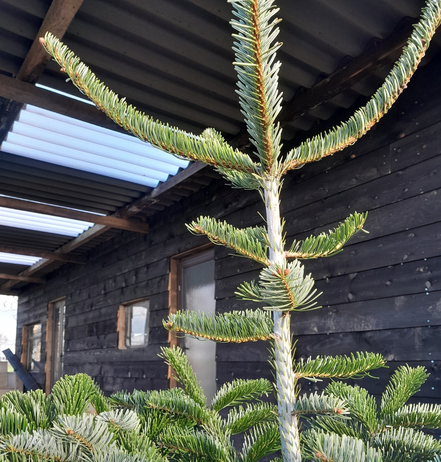 Bijzonder energieneutraal Chalet met landelijke uitzicht