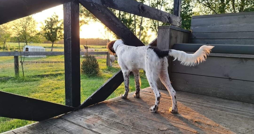 Bijzonder energieneutraal Chalet met landelijke uitzicht