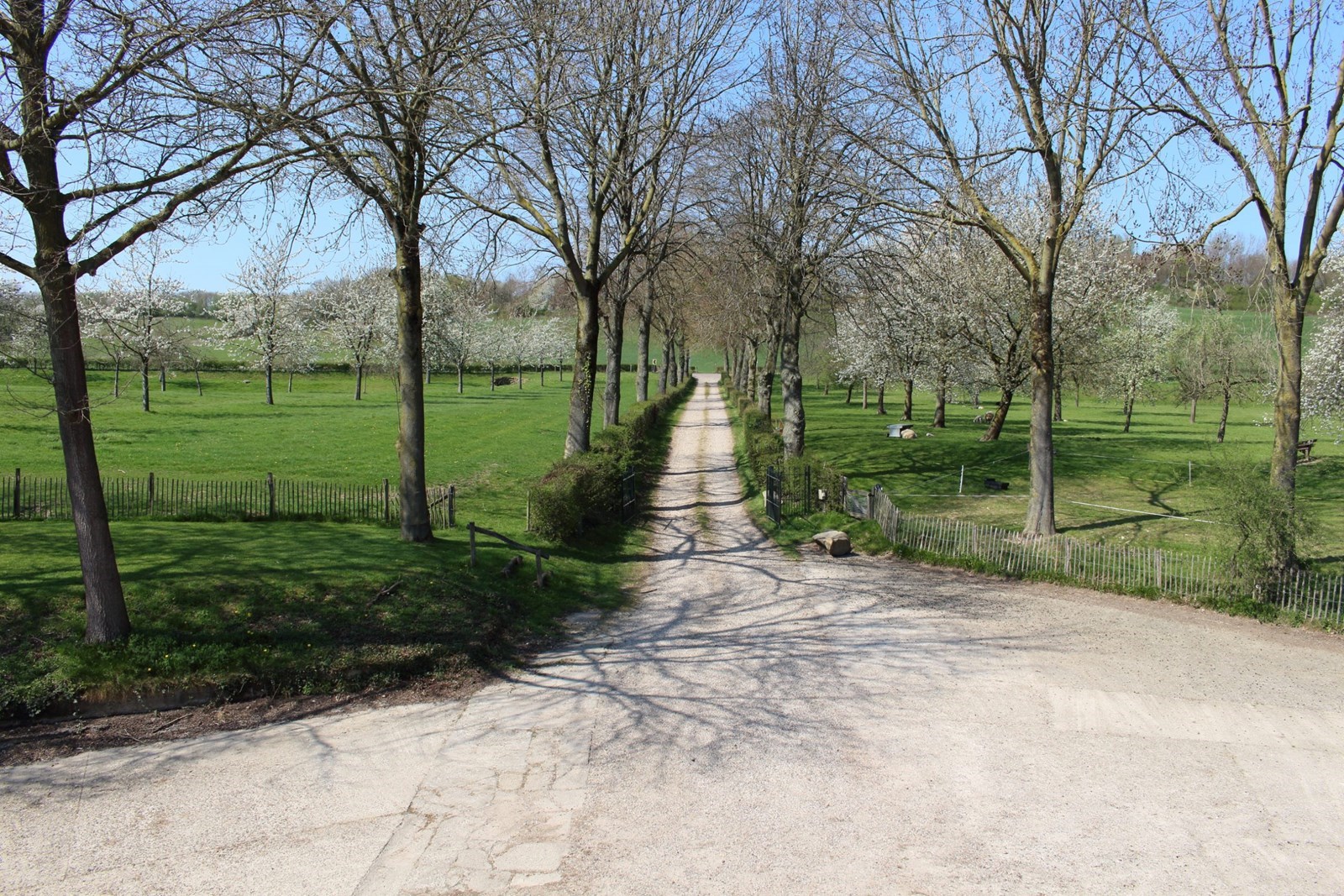 Torenwoning in een 16 eeuwse carré boerderij