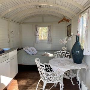 Slaapwagen midden in het bos met een eigen vuurplaats