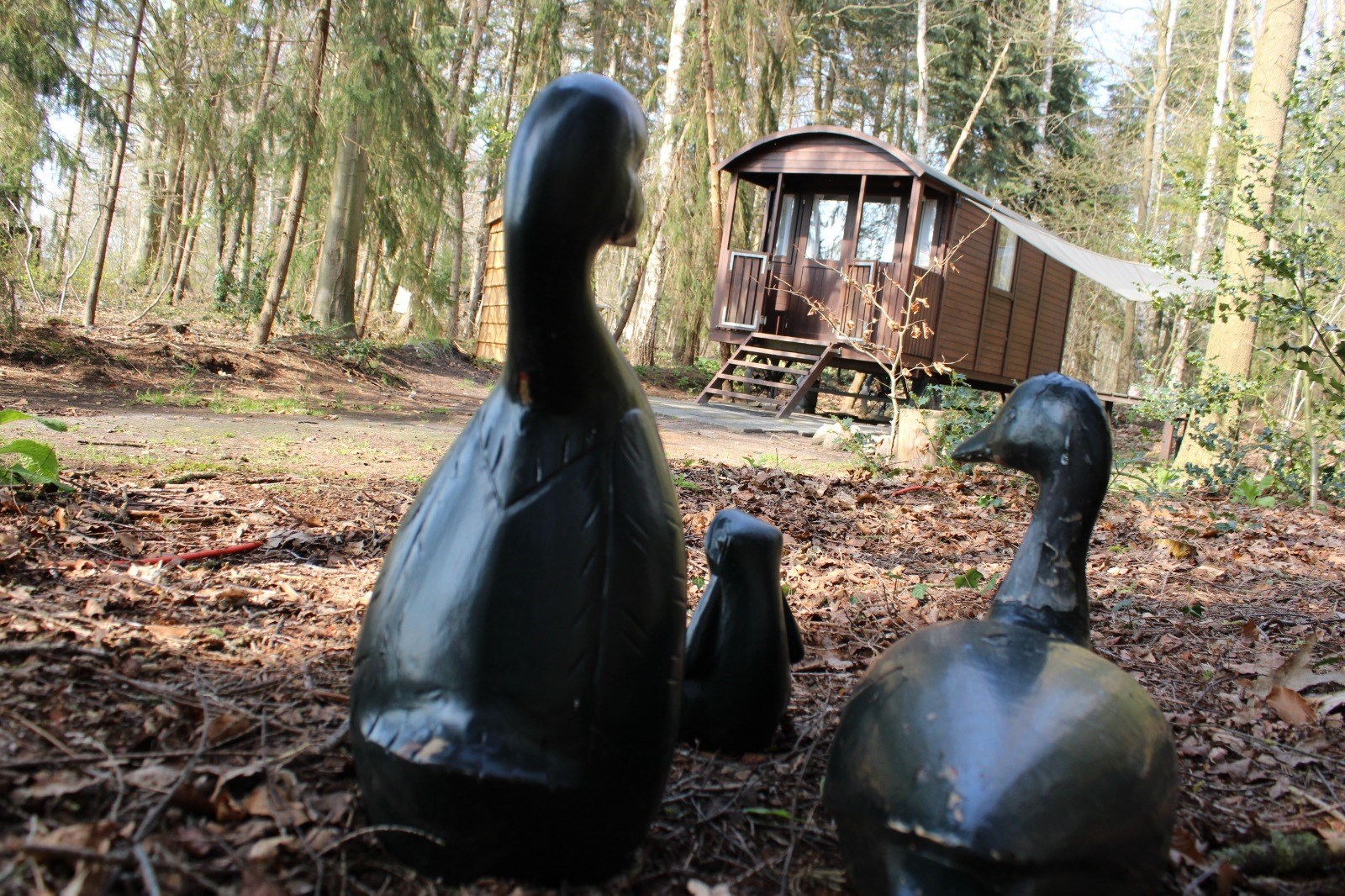 Slaapwagen midden in het bos met een eigen vuurplaats