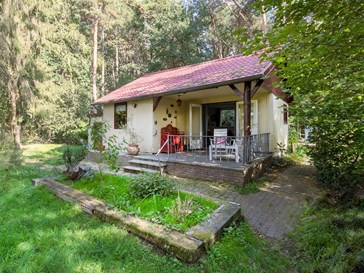Vintage vibe vakantiehuisje met uitzicht over glooiende paardenweides Vintage vibe vakantiehuisje met uitzicht over glooiende paardenweides