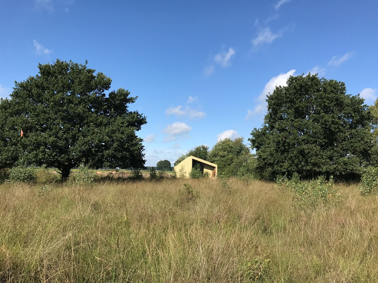 Bijzonder vakantiehuisje van sloophout
