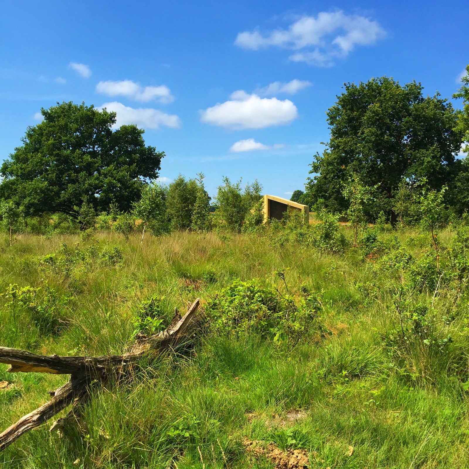 Bijzonder vakantiehuisje van sloophout