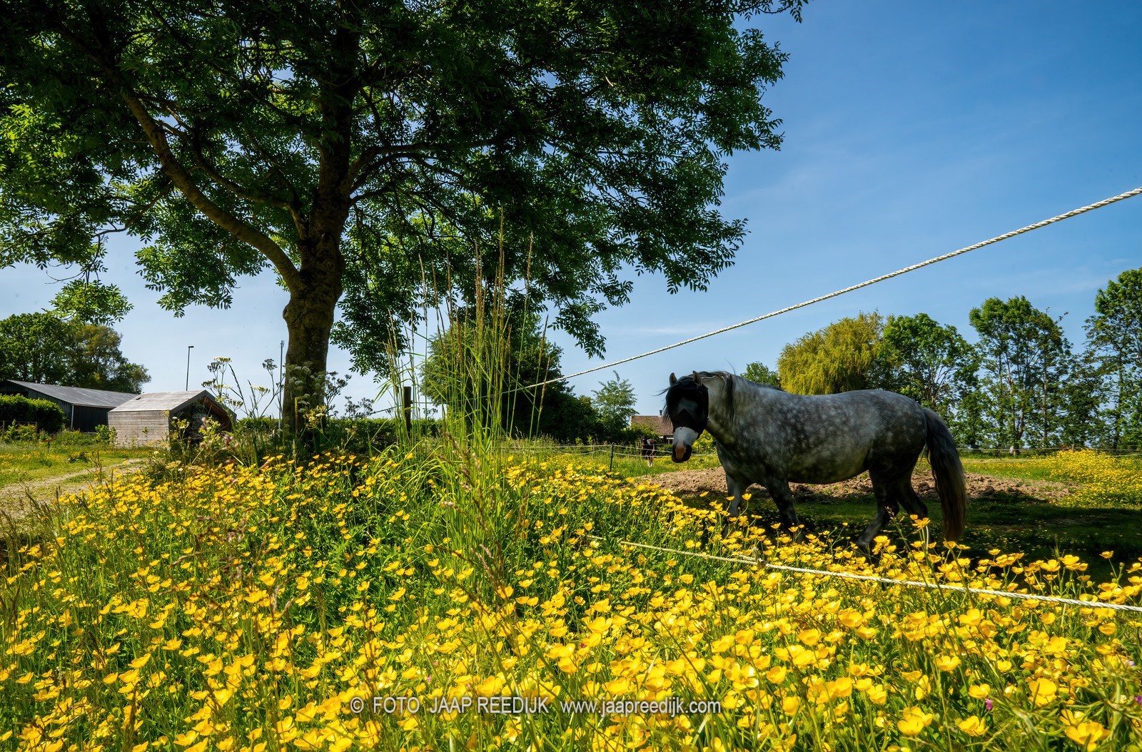 Diamantvorm Tiny House