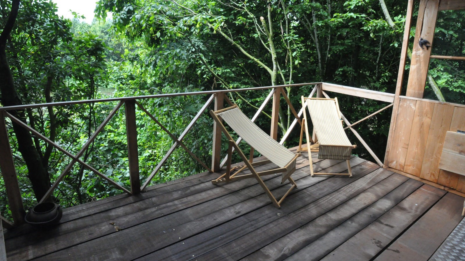 Bijzondere Boom B&B in België