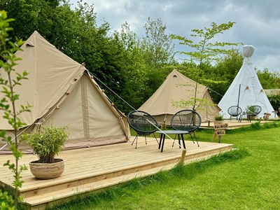 Balinese Bell Tent met uitzicht op alpaca’s Balinese Bell Tent met uitzicht op alpaca’s