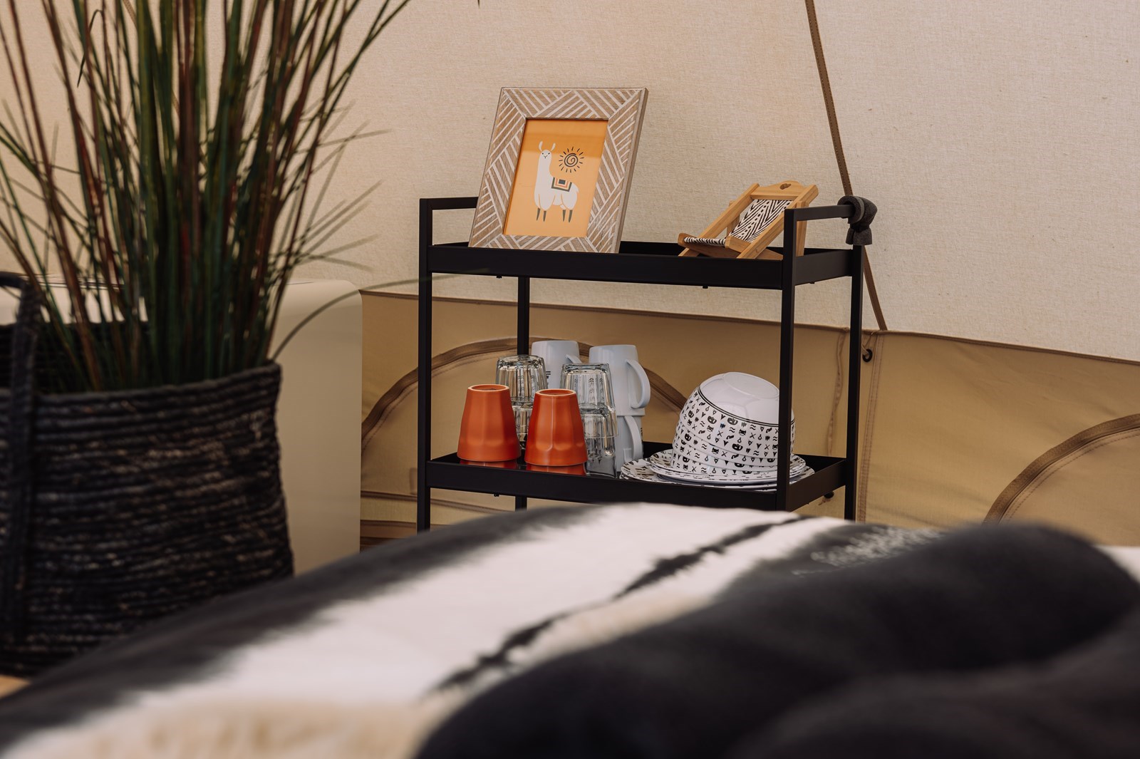 Logeer in een Bell Tent met uitzicht op alpaca's