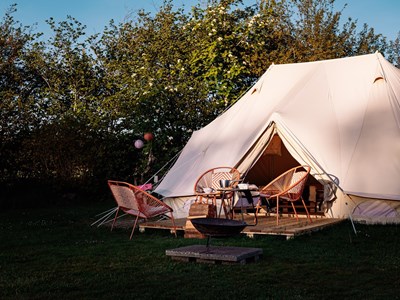 Logeer in een Bell Tent met uitzicht op alpaca's Logeer in een Bell Tent met uitzicht op alpaca's