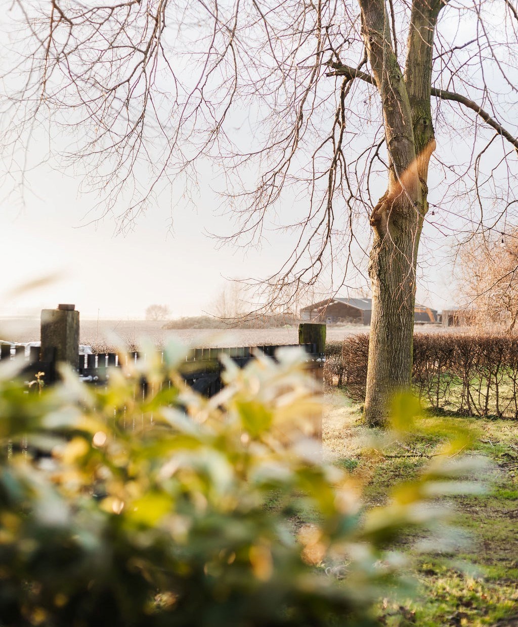 Slapen in een monumentale Schaapskooi