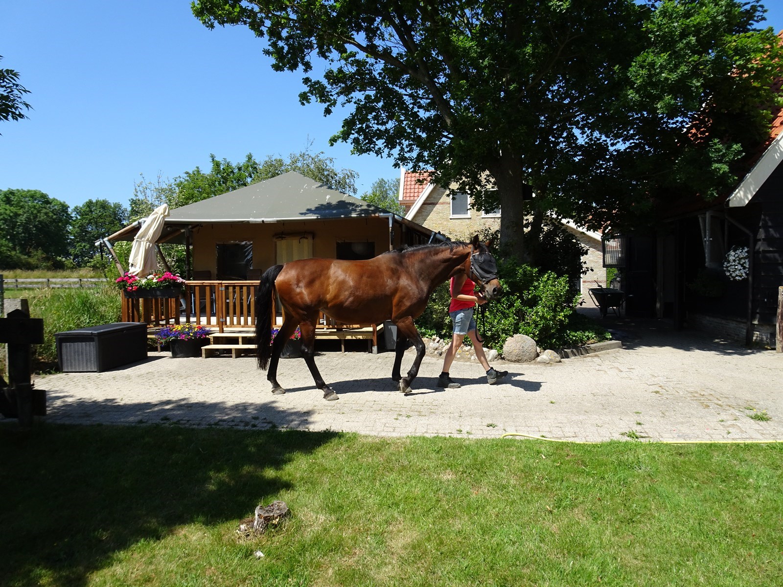 Glamping in een luxe safaritent op het verborgen Waddeneiland Wieringen