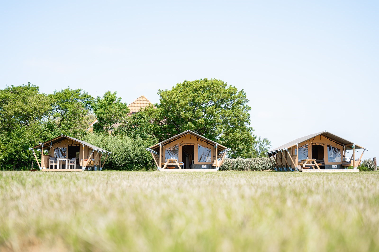 Safaritent tegen de duinen en op 10 minuten van het strand