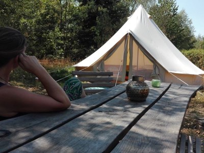 Kamperen in een ingerichte Bell tent aan de bosrand Kamperen in een ingerichte Bell tent aan de bosrand