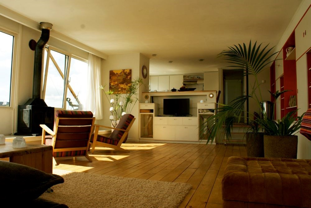 Woonark in de uiterwaarden van de IJssel