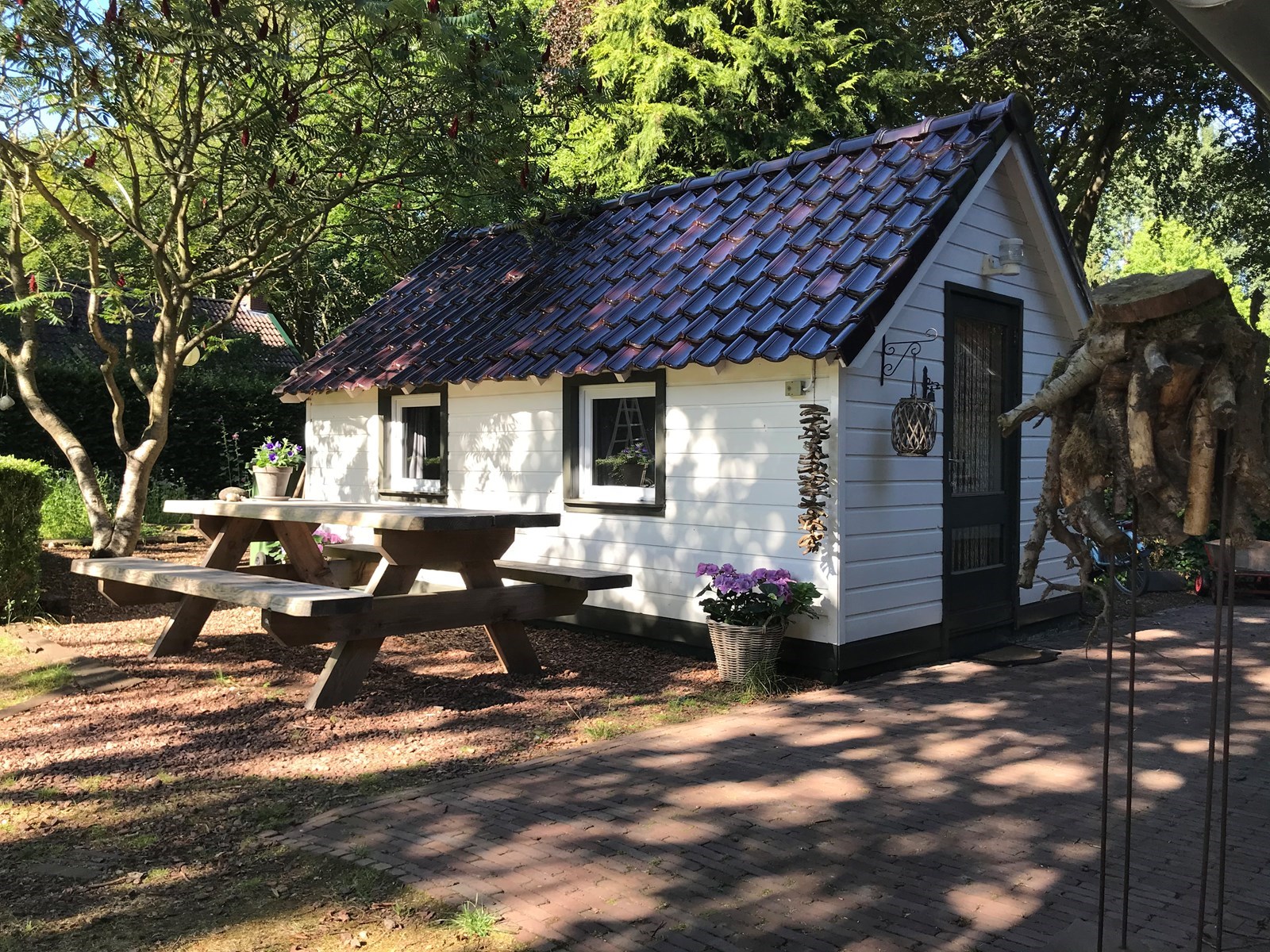 Een unieke plek in de Drentse natuur