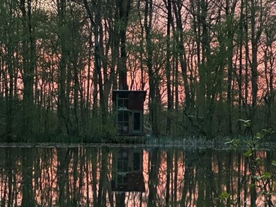 Tiny House in het bos aan een pingomeer Tiny House in het bos aan een pingomeer