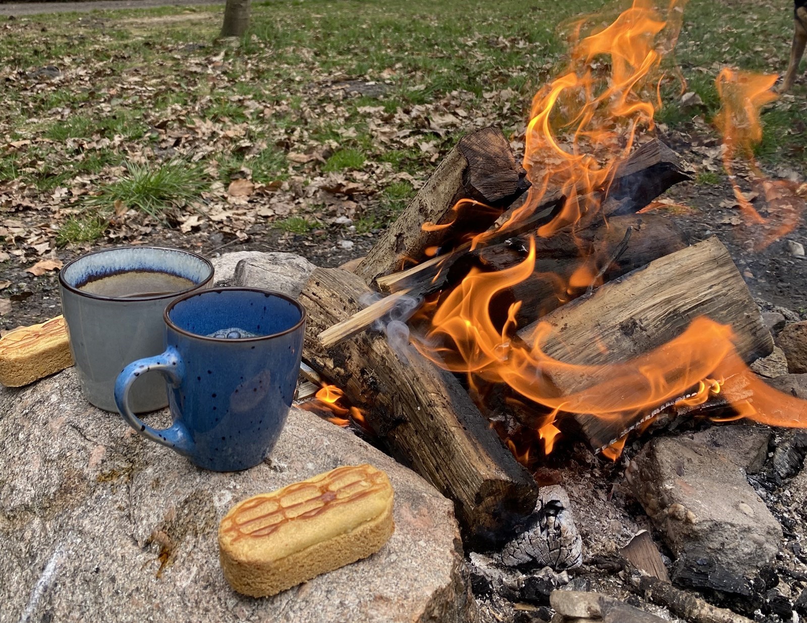 Tiny House in het bos aan een pingomeer