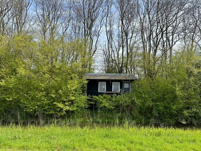 Slapen in een Tiny house. Een stille plek om te blijven Slapen in een Tiny house. Een stille plek om te blijven