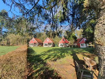 Boshuisje op een uniek boseiland op de Veluwe Boshuisje op een uniek boseiland op de Veluwe