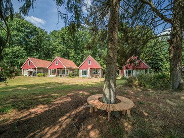 Hondvriendelijk vakantiehuisje op een boseiland op de Veluwe Hondvriendelijk vakantiehuisje op een boseiland op de Veluwe