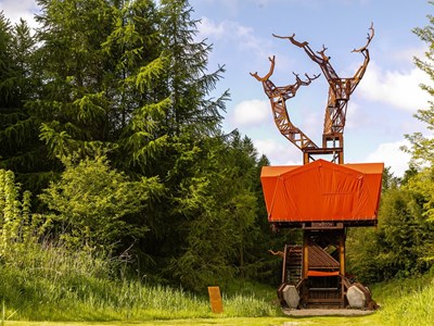 Overnachten in een unieke Boomhut Overnachten in een unieke Boomhut