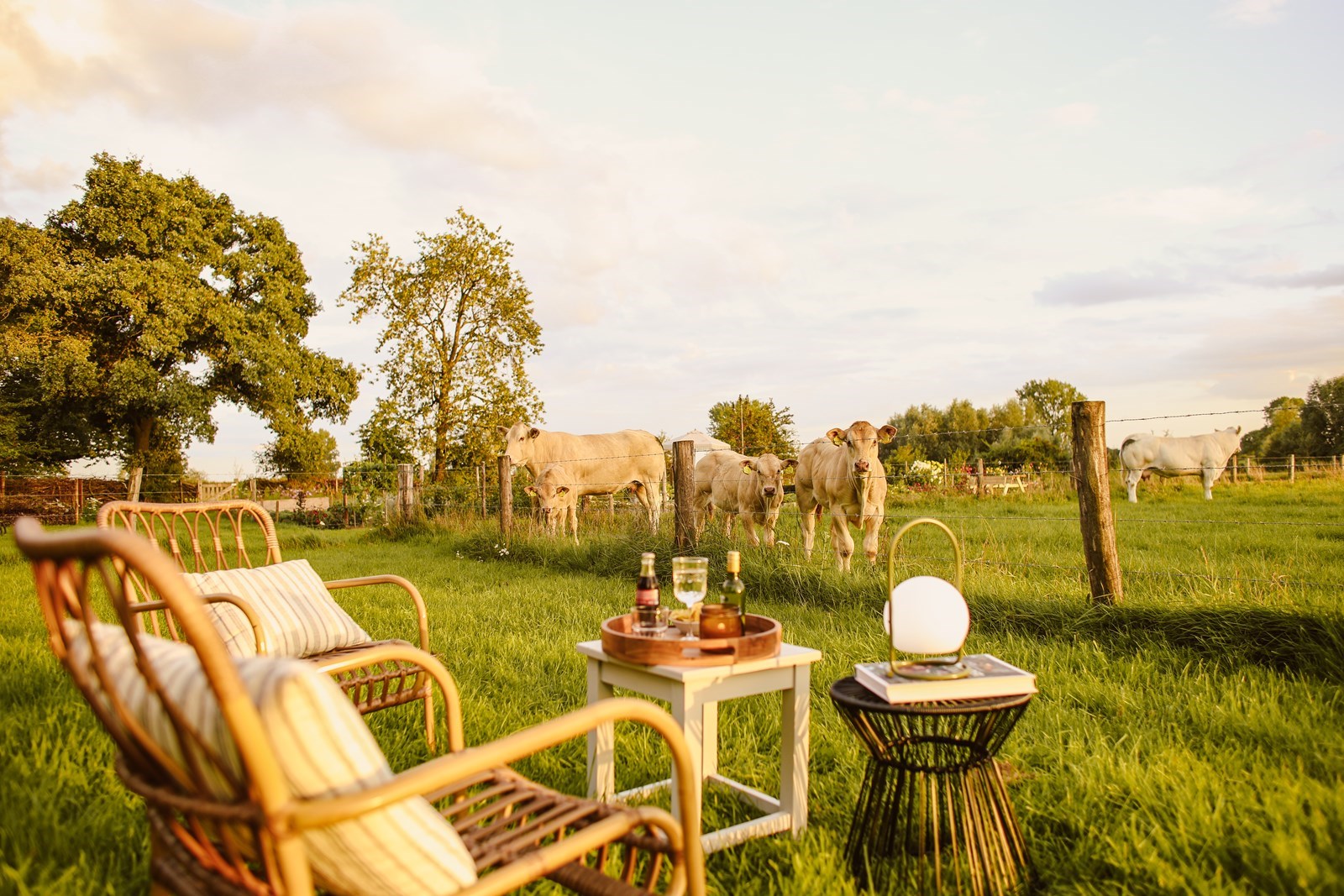 Luxe CABIN met waanzinnig uitzicht over de weilanden, de uiterwaarden en de Maas