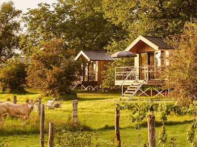 Luxe CABIN met waanzinnig uitzicht over de weilanden, de uiterwaarden en de Maas Luxe CABIN met waanzinnig uitzicht over de weilanden, de uiterwaarden en de Maas