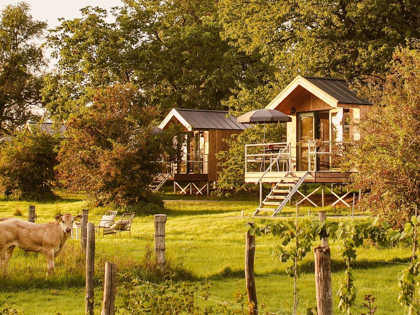 Luxe CABIN met waanzinnig uitzicht over de weilanden, de uiterwaarden en de Maas