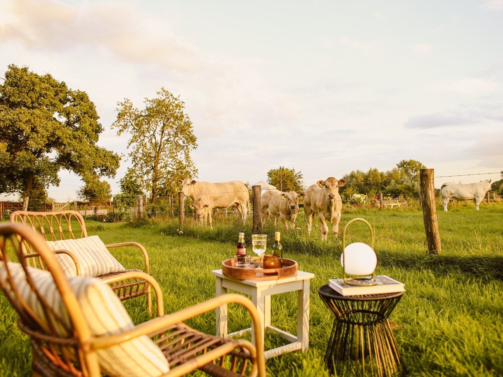 Luxe CABIN met waanzinnig uitzicht over de weilanden, de uiterwaarden en de Maas