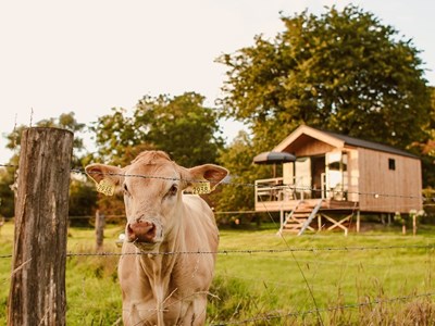 Luxe CABIN met waanzinnig uitzicht over het weiland, de uiterwaarden en de Maas Luxe CABIN met waanzinnig uitzicht over het weiland, de uiterwaarden en de Maas