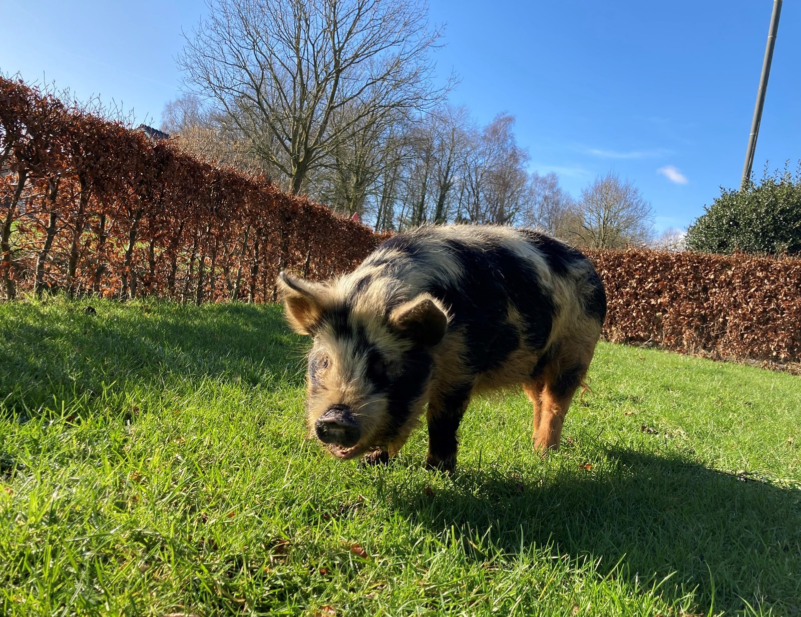 Overnachten in een historische Houtzagerij