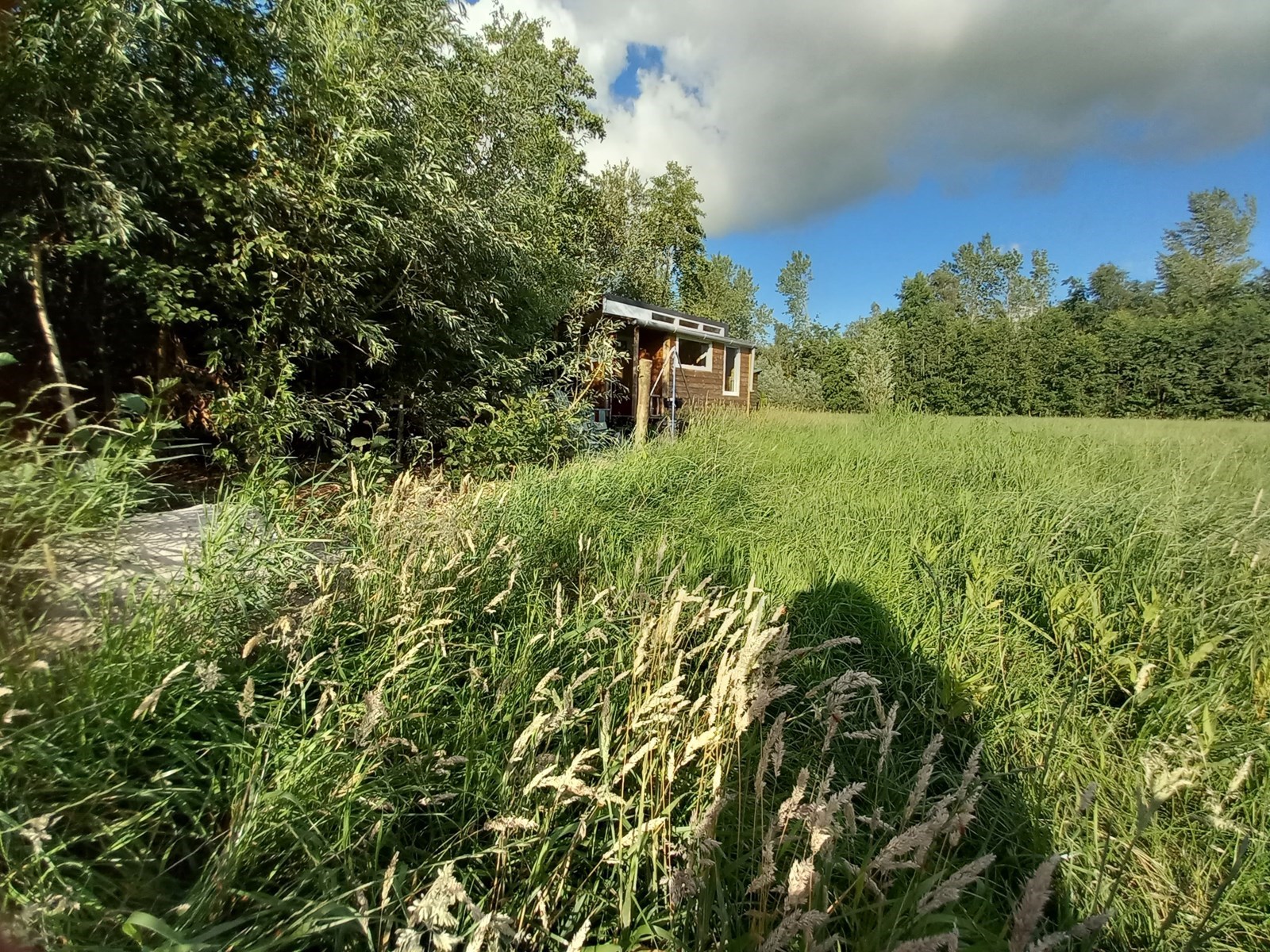 Tiny House met hout gestookt buitenligbad voor 1 persoon