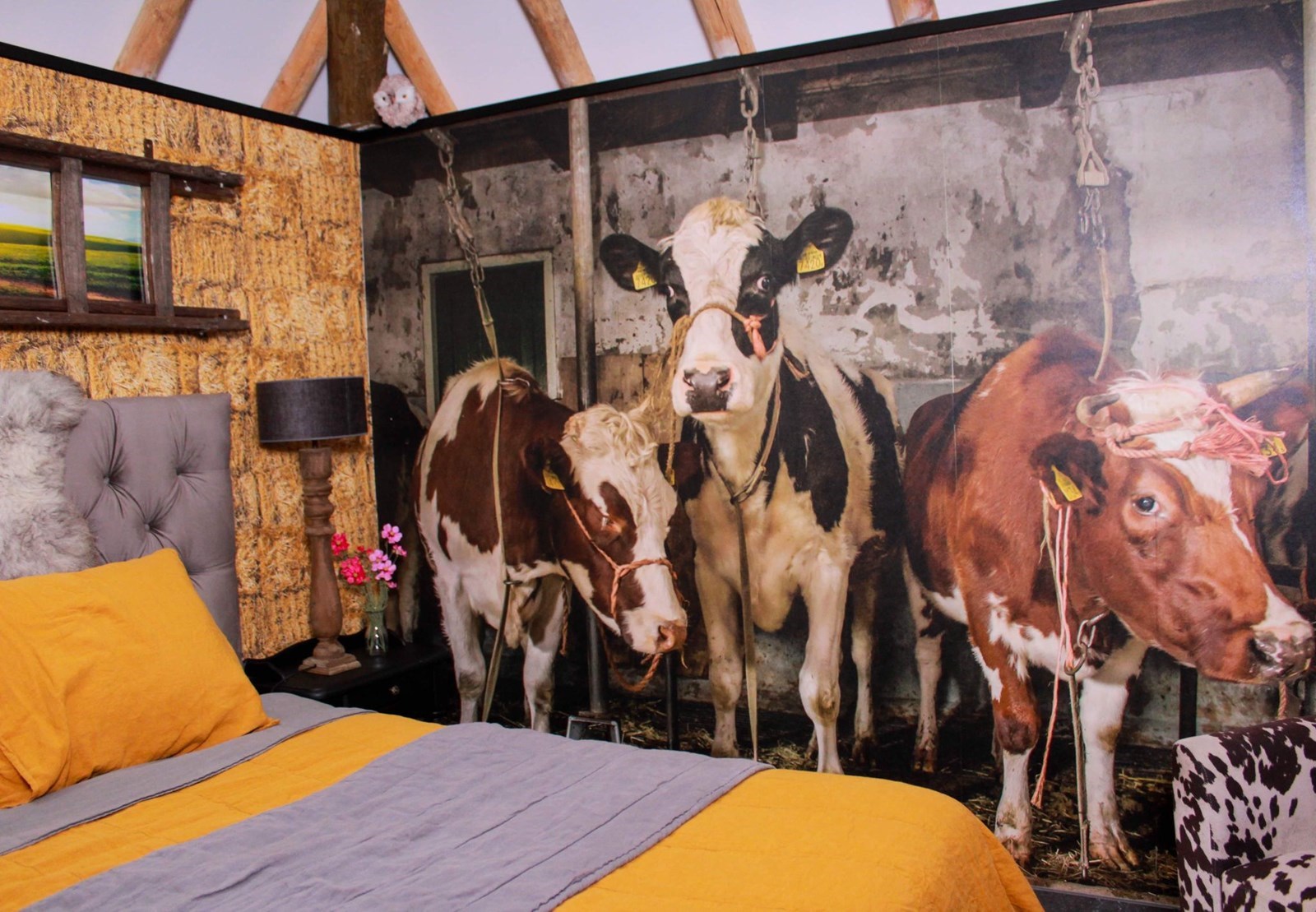 Tiny house in een voormalige stal