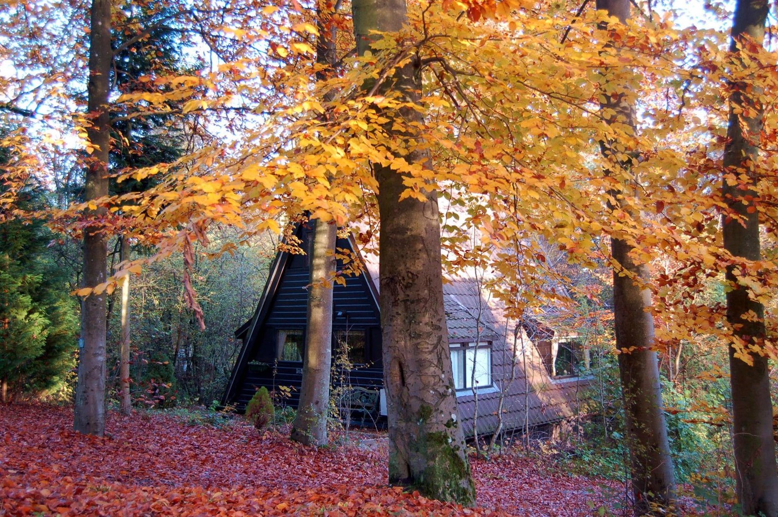 A-Frame vakantiehuis met schitterend uitzicht