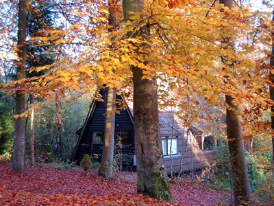 A-Frame vakantiehuis met schitterend uitzicht A-Frame vakantiehuis met schitterend uitzicht