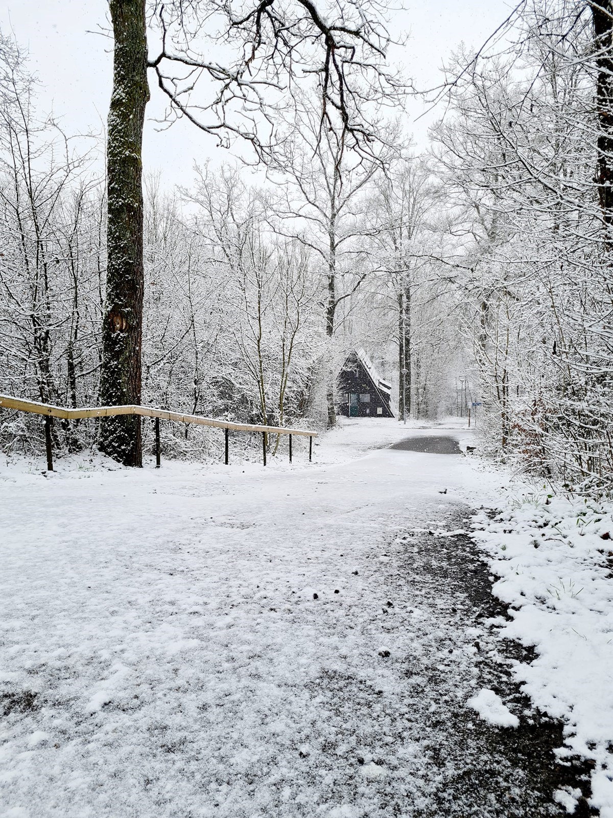 A-Frame vakantiehuis met schitterend uitzicht