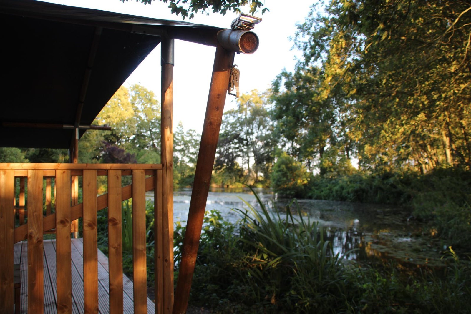 Glamping in een Safaritent aan een vijver