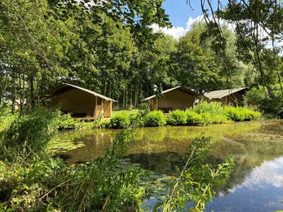 Glamping in een Safaritent aan een vijver Glamping in een Safaritent aan een vijver