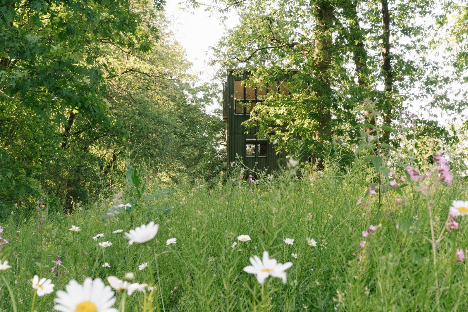Unieke Spothut naast de ingang van park de Hoge Veluwe