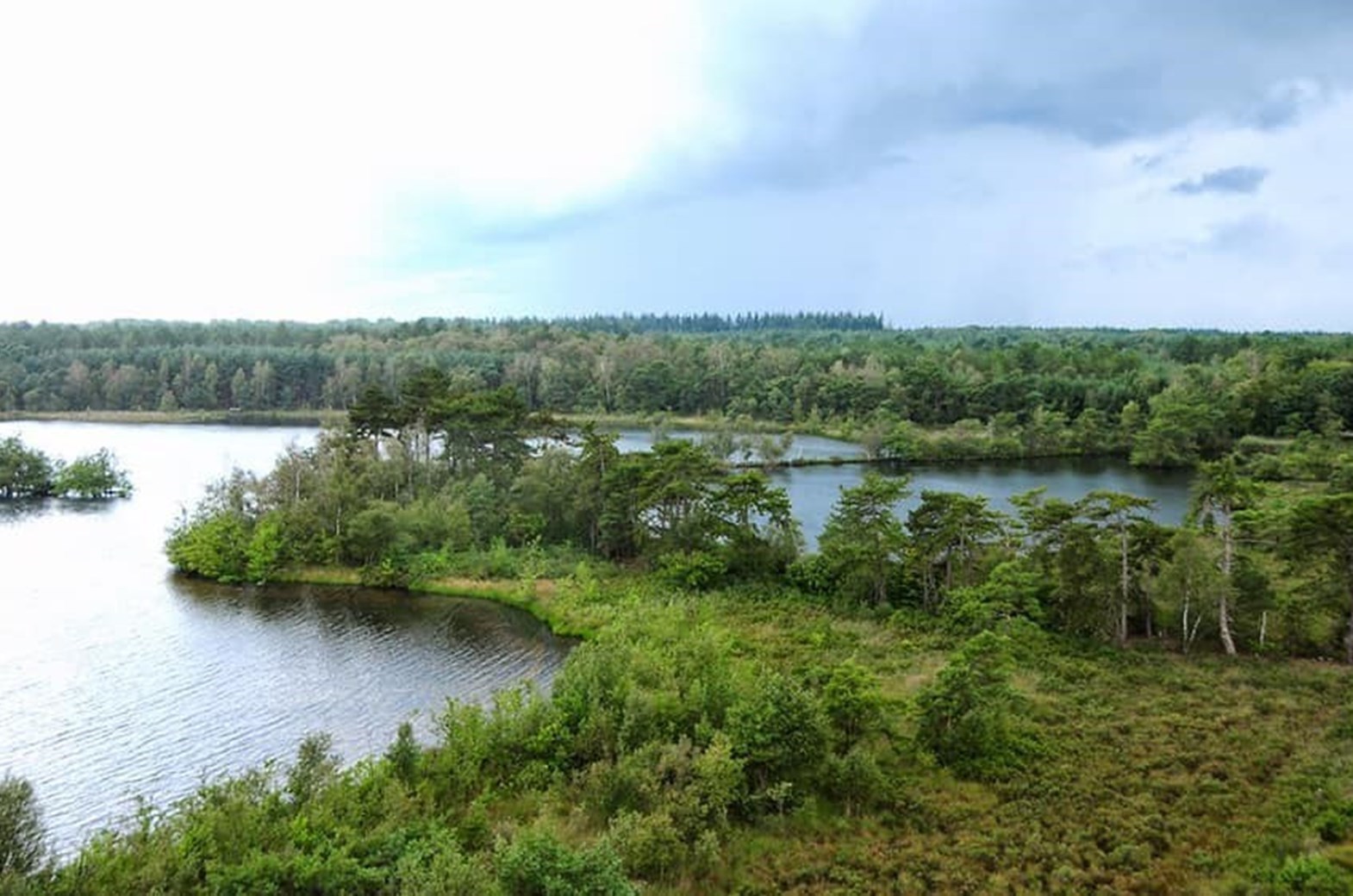 Boshuisje midden in een natuurreservaat met een adembenemend uitzicht