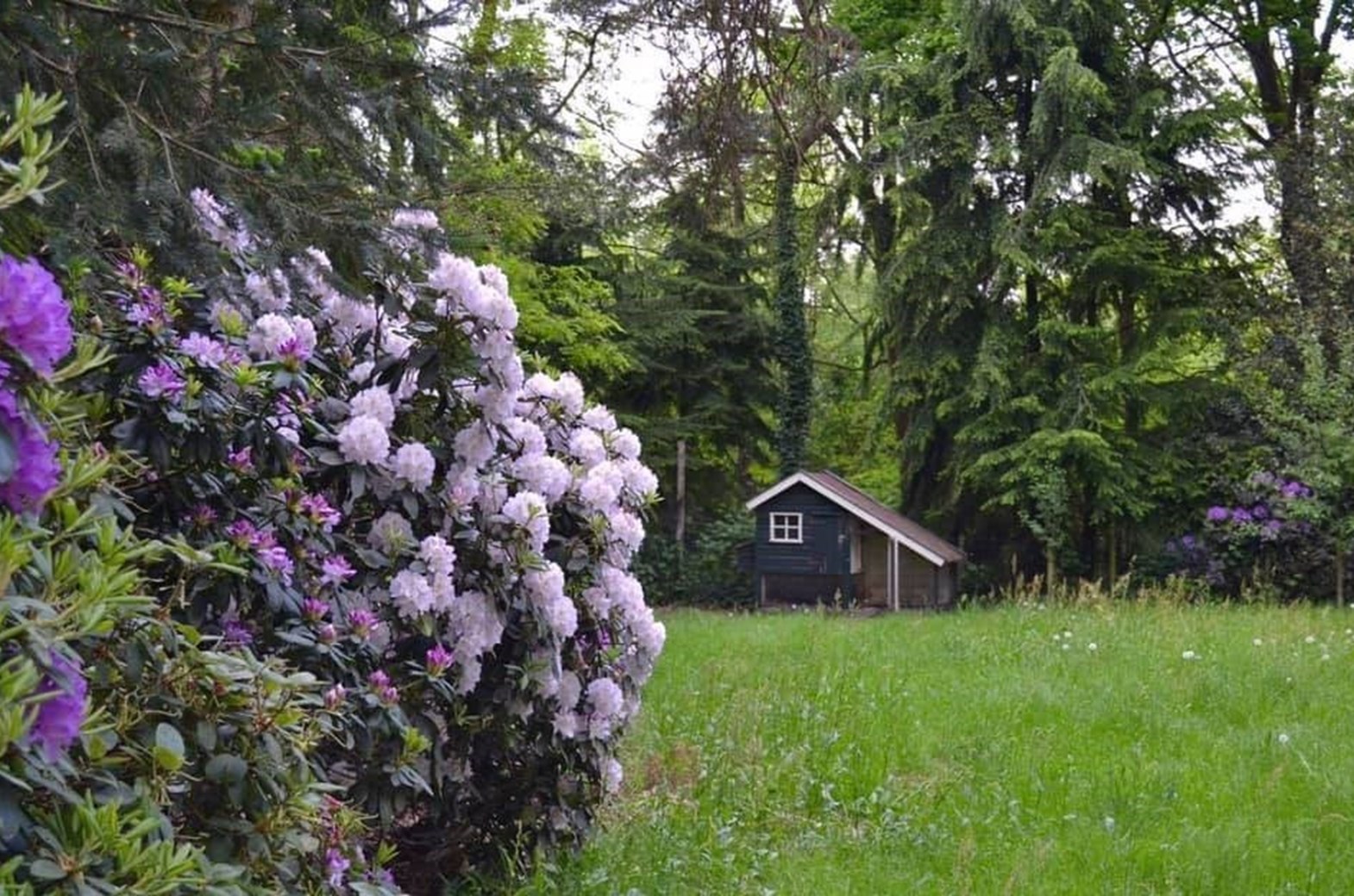 Boshuisje midden in een natuurreservaat met een adembenemend uitzicht