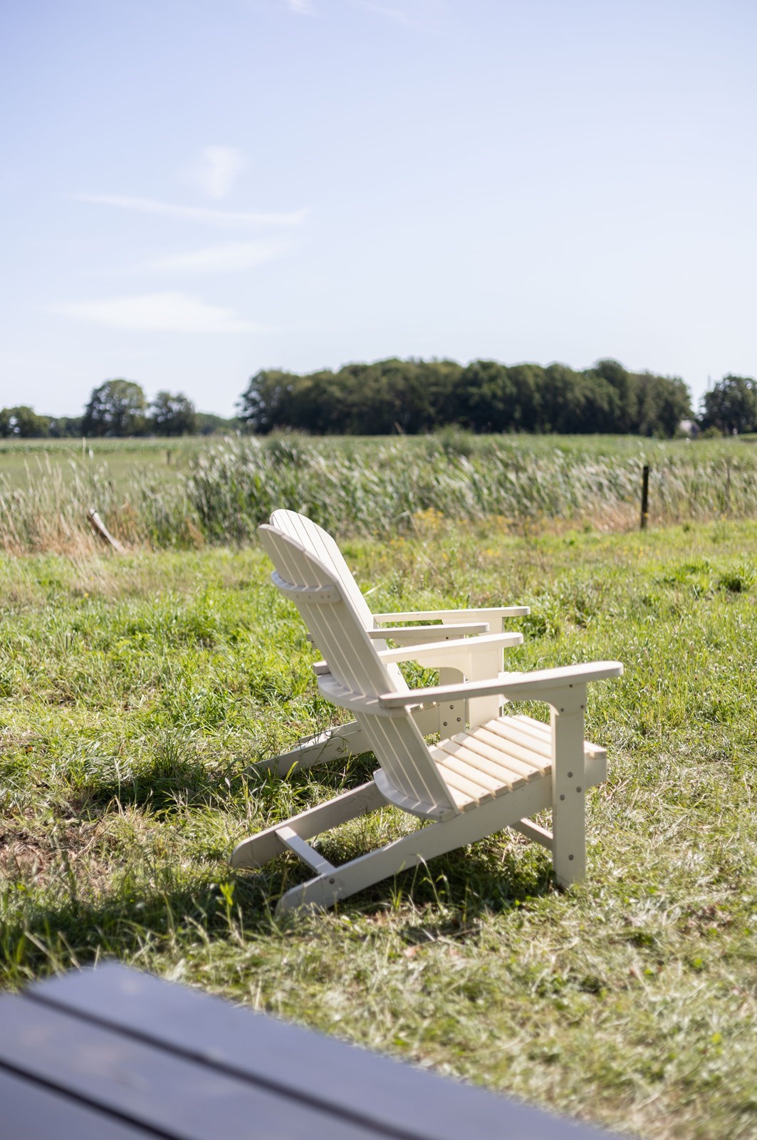 Hidden Cabana - Uniek, Duurzaam Tiny House Verborgen In De Natuur ...