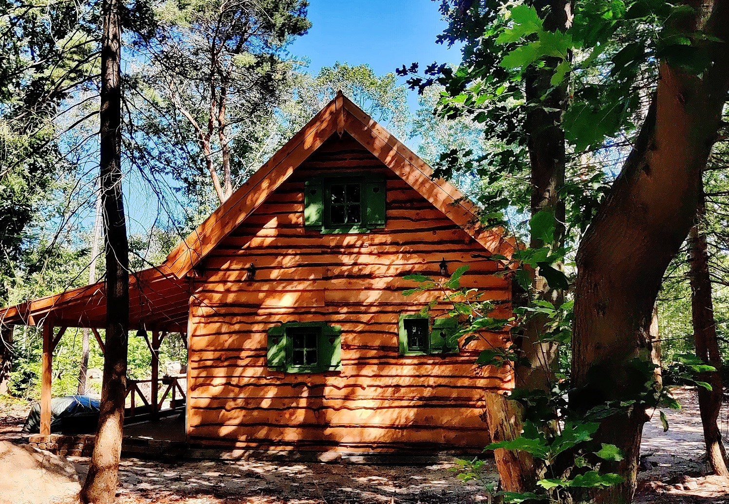 Bijzonder vormgegeven houten Cabin in de bossen