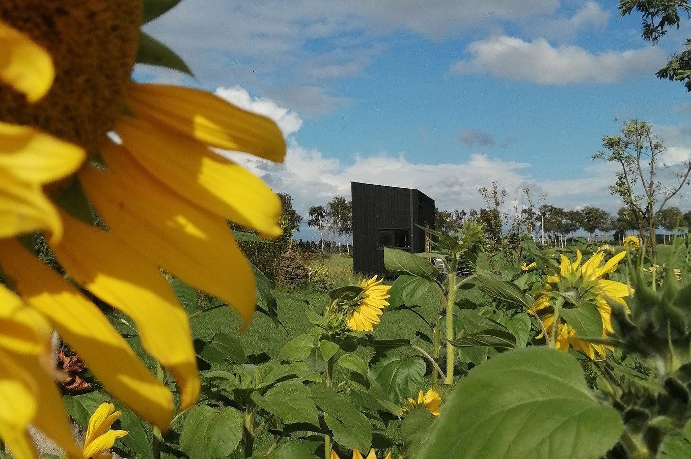Tiny house met overdekt terras en een weids uitzicht over de weilanden